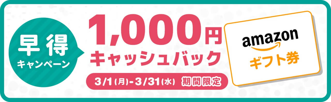 ワンダーボックス　1000円キャッシュバック